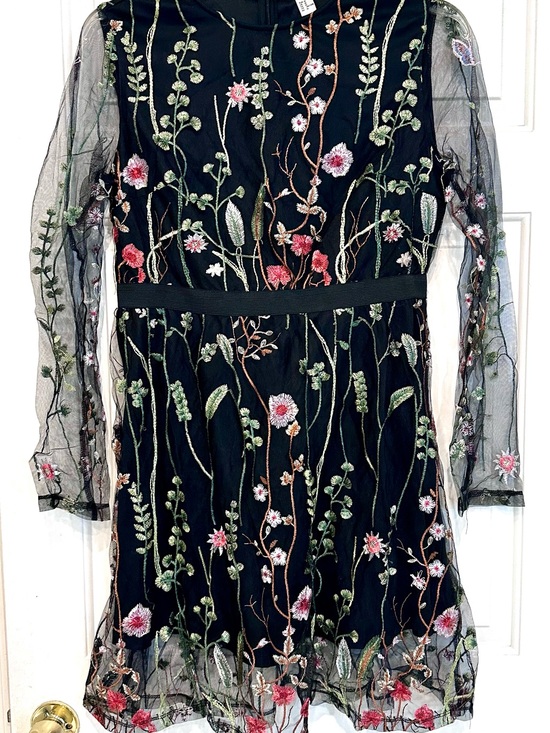 Source Unknown Dresses & Skirts - Black Long-Sleeve Fairycore Mini Dress – XL
Floral Embroidery